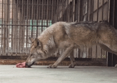 How Is Neukgu Doing?... A Look at His First Meal