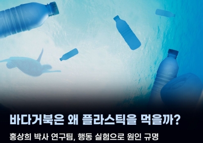 바다거북은 왜 플라스틱을 먹을까?… 투명한 죽음의 유혹