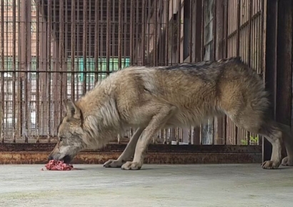 Deokgu Returns: Mealtime Video Surpasses 1.3 Million Views... "Why Is the Food On the Ground?" Controversy Erupts
