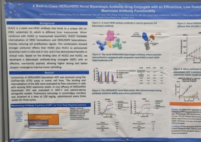 앱클론 파트너 헨리우스, AACR서 HER2 ADC 공개…"엔허투 대비 항종양 활성 확인"