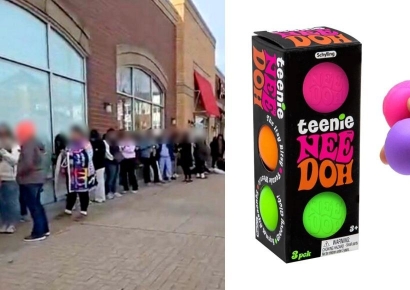 "8000원→73만원 폭등"…없어서 못 산다는 장난감 정체