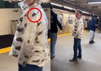 "진짜라니 말도 안 돼" 투명 재킷 속 바퀴벌레 꿈틀…지하철서 포착된 '소름 패션'