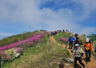 철쭉꽃 흐드러진 봄… "남원으로 고고!!"