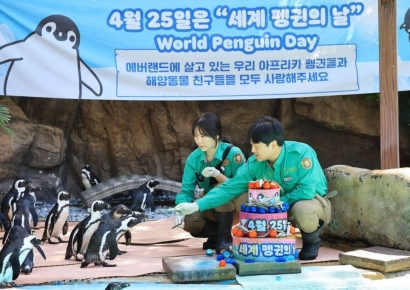 에버랜드, '세계 펭귄의 날' 앞두고 특별 프로그램 진행