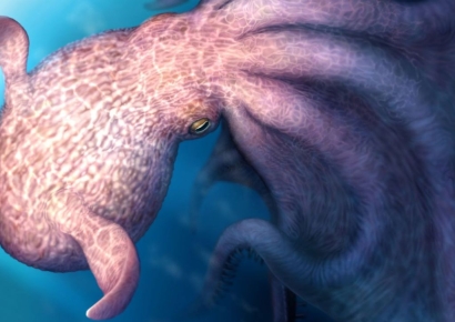 전설의 괴물 '크라켄' 실존했나…19m 문어 화석 발견