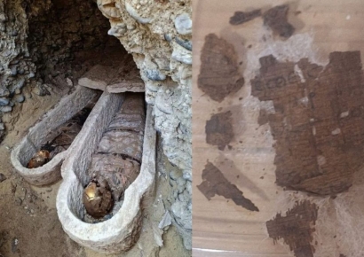 "이게 왜 나와?" 역사상 첫 발견…1600년 된 미라 뱃속에서 나온 물건