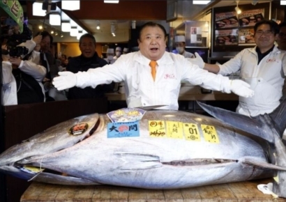 해마다 껑충 뛰더니 이번엔 '47억'…"낙찰 받으면 1년 운 대박"