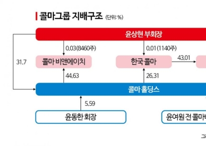 중견 딱지 뗀 '대기업' 콜마그룹…지배구조 시험대
