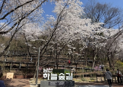 달라진 '남산'… 누구나 쉽게 찾는 세계적 명소로