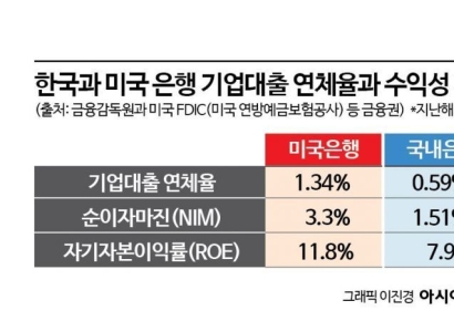 [돈의 물길을 바꿔라]⑤연체율 2배지만 수익성도 2배…리스크 감수한 美 은행의 ‘고수익 비결’