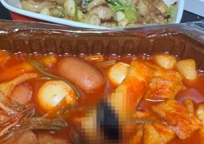 떡볶이 시켰는데 바퀴벌레가…본사 "불쾌감 드려 죄송, 위생 점검 진행"