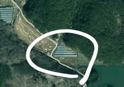 가족 같던 이웃 틀어지게 만든 주범은 산비탈 고사리