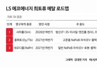 中막혔을 때 노젓자…LS에코에너지, 희토류·HVDC 동시 가동[클릭 e종목]