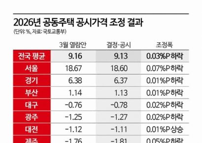 공동주택 공시가격 30일 공개…상승률 9.13%, 잠정안보다 0.03%P 낮아