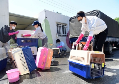 [포토]‘반려동물을 위한 더 나은 세상 만들기’ 봉사활동에 동참한 로얄캐닌코리아 임직원들