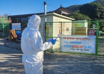 전남도, AI 위기경보 '주의' 하향…방역지역 전면 해제