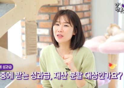억대 보너스 받고 신났다가 '날벼락'…"이 돈은 제 돈 아닌가요" 재산 분할 향방은