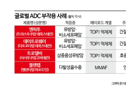 '독성' 경고음 커지는 ADC…국내 치료제도 영향권