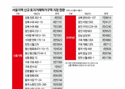 서울 신통기획 18곳·모아타운 10곳 토지거래허가구역 묶인다