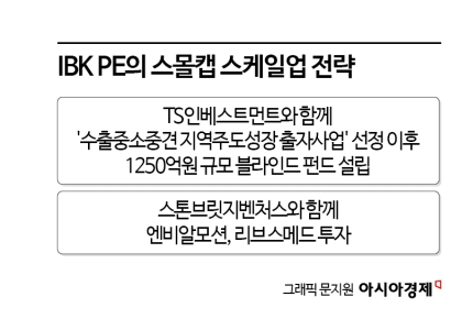 [PE는 지금]구조조정만 한다?…성장에도 힘 쏟는 PE