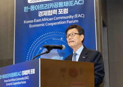 "아프리카, 핵심광물 등 잠재력 커…韓기업 협력 주목해야"