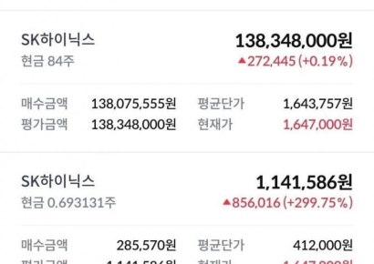 "융자 끼고 23억 풀매수" SK하닉 '몰빵'했던 그 공무원 '빚투' 인증