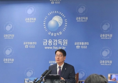 金监院：“‘三星电子’2倍杠杆ETF或加剧投资者扎堆”