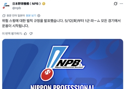 타자 배트에 맞은 심판 중태…日야구, '위험 스윙' 즉시 퇴장 도입