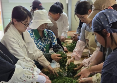 国家非物质文化遗产“制茶”，在市民生活中焕发生机