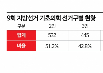 [단독]이번 지방선거도 '나눠먹기'…기초의회 2인 선거구 여전히 '절반'