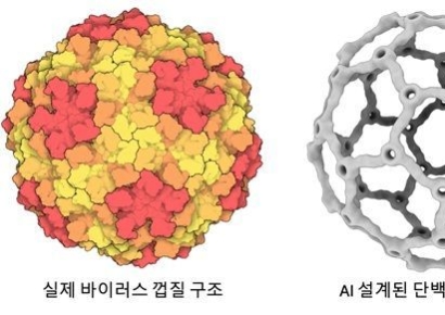 AI破解病毒组装原理…可运载疫苗的“蛋白质纳米笼”问世[读懂科学]