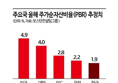 [하반기 성장전략]주가누르기 막는다…11월부터 저PBR 기업 공개