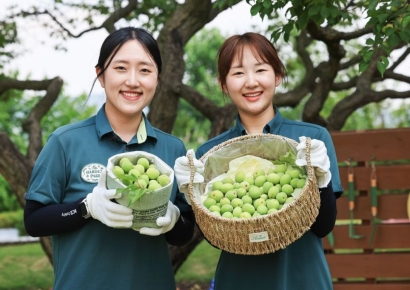  에버랜드, 초여름 '매실따기' 이색 체험 진행