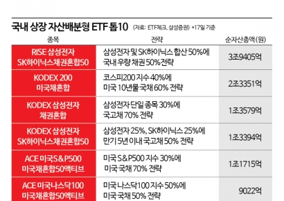 [재테크 풍향계]'리스크 관리·수익' 두 마리 토끼 잡으려면 '자산배분 ETF'