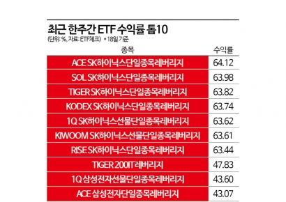단 일주일만에 60%대 수직상승한 ETF들이 가리키는 한 종목