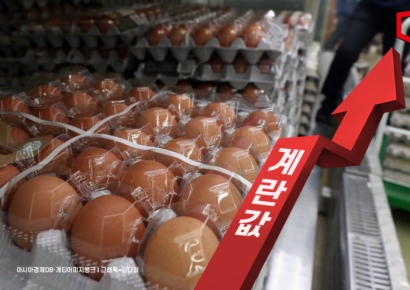 이미 비싼데요…"매일 아침 두개씩 먹는데 너무해" 이른 더위에 달걀값 공포
