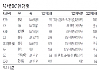 점검 필요한 美사모대출…비상장 BDC 환매 정점은 언제