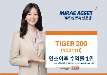 'TIGER 200', 코스피200 추종 ETF 중 올해 수익률 1위