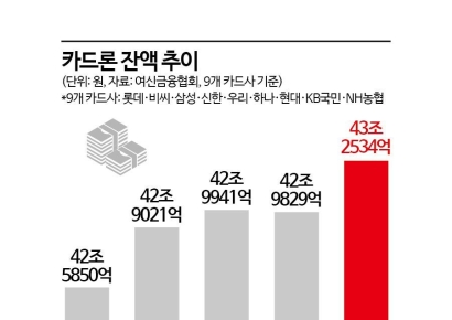 카드론 역대 최대…은행 밖 대출 '풍선효과' 커지나