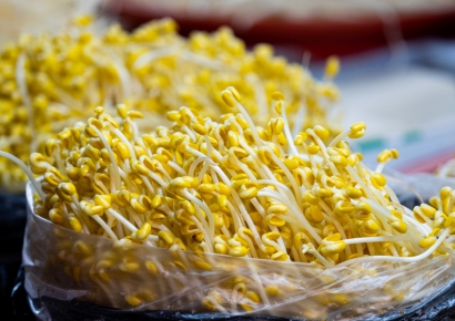 "Losing Jobs and Selling Bean Sprouts: Why They Left a Job Earning 6.76 Million Won per Month"