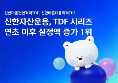 신한자산운용, 올해 TDF 설정액 증가 '1위'
