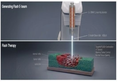 쎄크, 정부 연구비 62억5000만원 확보…'플래시 방사선 1초 암치료기' 국가전략과제 참여