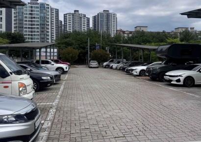"남편차, 아빠차 다 상관없어요"…'임산부 반값' 서울시 파격 정책 보니