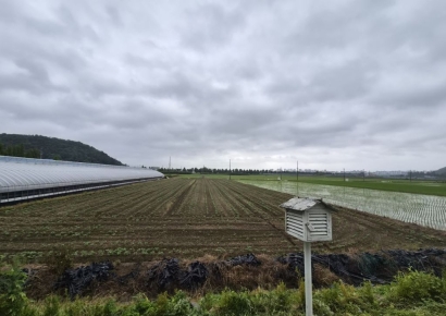 “Not Selling for Now”: 800 Trillion Investment Announcement Shakes Up Land and Home Prices [Report]