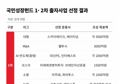 박터진 국민성장펀드 쟁탈전 끝…'수익성 저하' 우려도 [PE는 지금] 