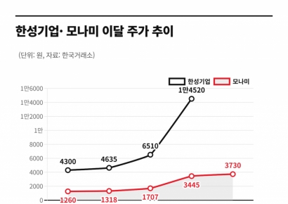 '애국 매수'에 3배 급등 후 거래정지까지 당한 주식…무슨 일? [주末머니]