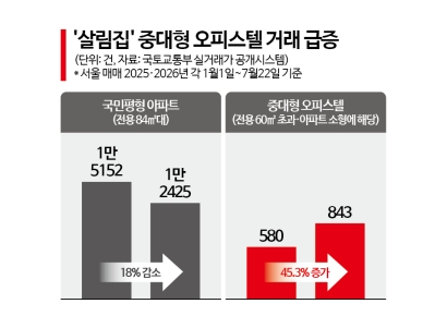 "크기 비슷한데 반값 수준" 13억 국평 아파트 대신 '이것' 산다…한달 새 7000만원 '껑충'[부동산AtoZ]