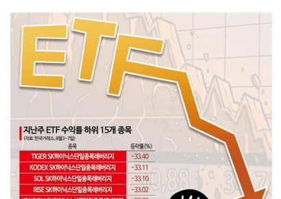 15개 중 14개 싹쓸이…"진짜 천덕꾸러기 맞네" 단일종목 레버리지, 수익률도 최하위