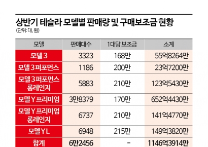 [Exclusive] South Korean Government Pours 115 Billion Won in Subsidies Into China-Made Teslas... 12% of This Year’s Budget [Broken EV Subsidy System]