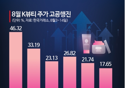 "주가 46% 뛰었는데 더 간다"…증권가가 꽂힌 이 종목